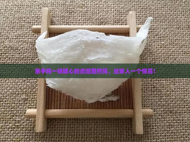 虎菇菌炖燕窝怎么做的