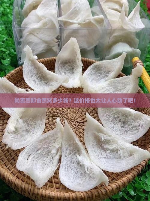 尚善燕即食燕窝多少钱