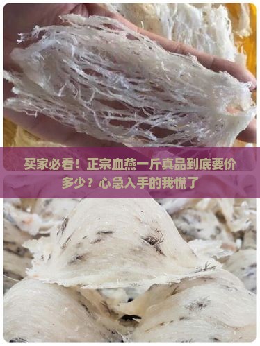 正品血燕燕窝多少钱一斤