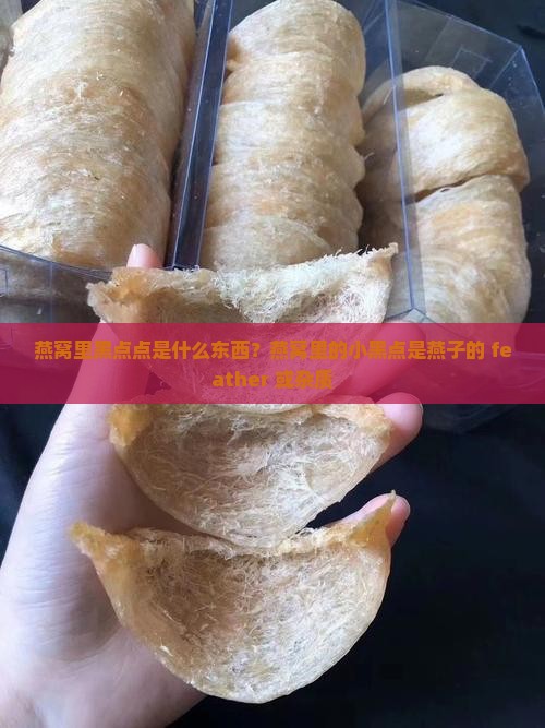 燕窝里黑点点是什么东西