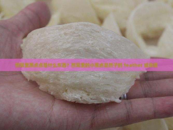 燕窝里黑点点是什么东西