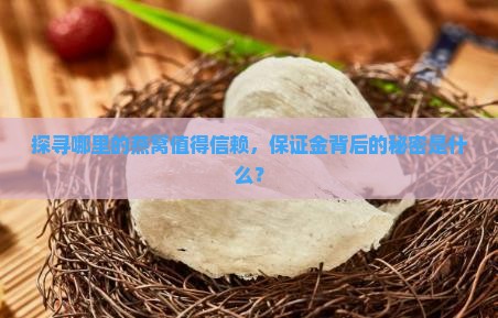 在哪里买燕窝有保证金的