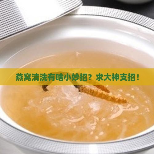 燕窝如何才能洗干净啊