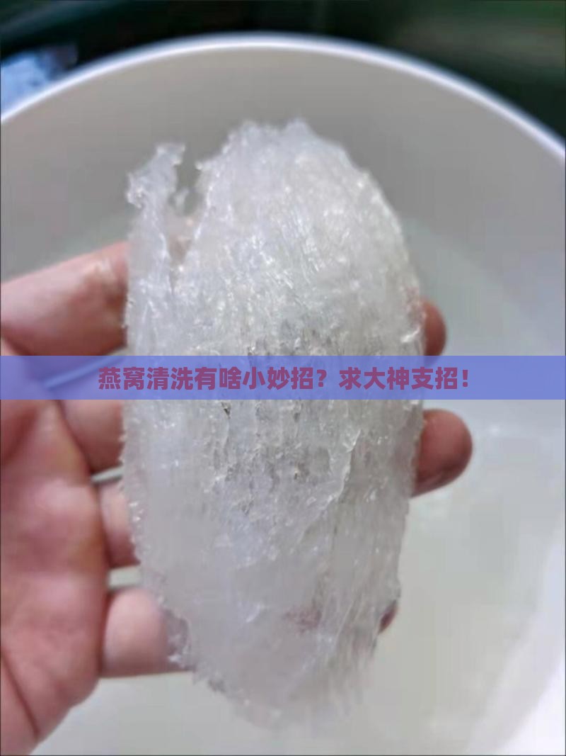 燕窝如何才能洗干净啊