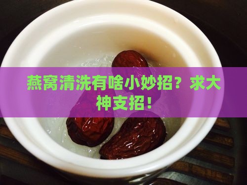 燕窝如何才能洗干净啊
