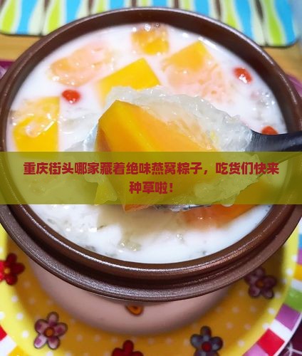 重庆哪里有卖燕窝粽子的