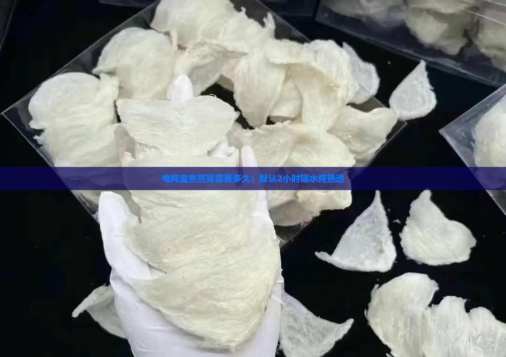 电炖盅煮燕窝需要多久