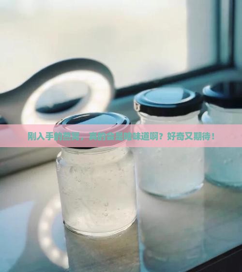 刚买的燕窝是什么味道的