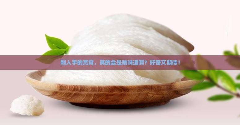刚买的燕窝是什么味道的