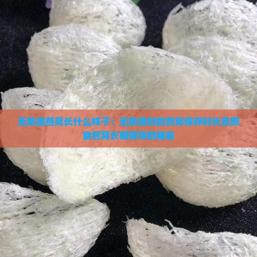 无防腐燕窝长什么样子