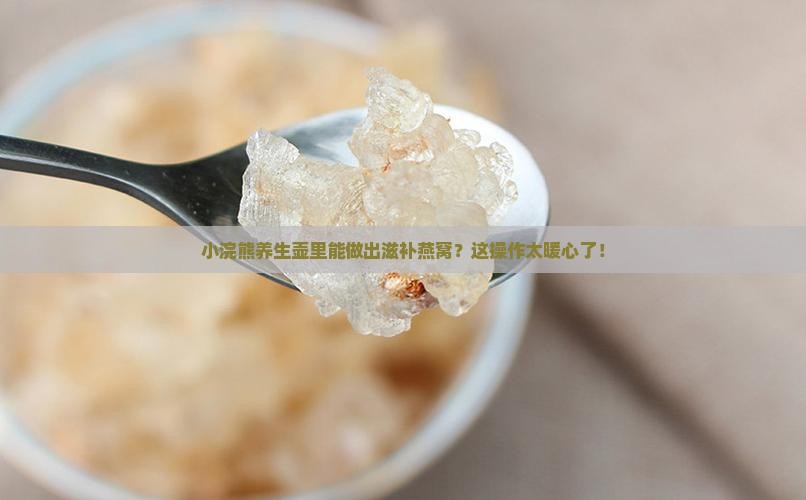 小浣熊养生壶怎么做燕窝