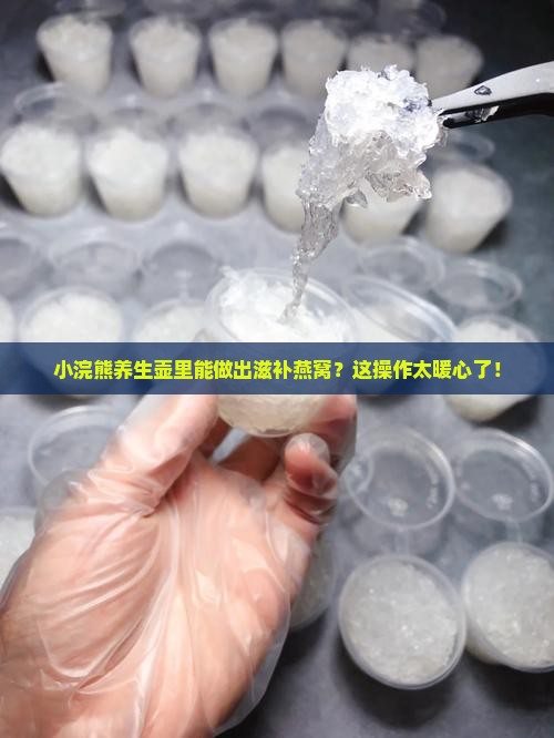 小浣熊养生壶怎么做燕窝