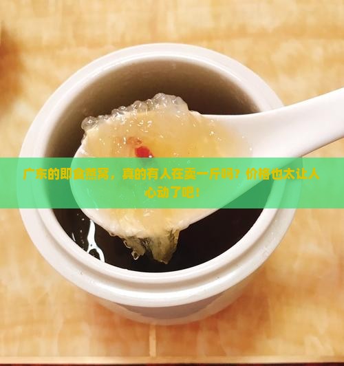 广东即食燕窝多少钱一斤