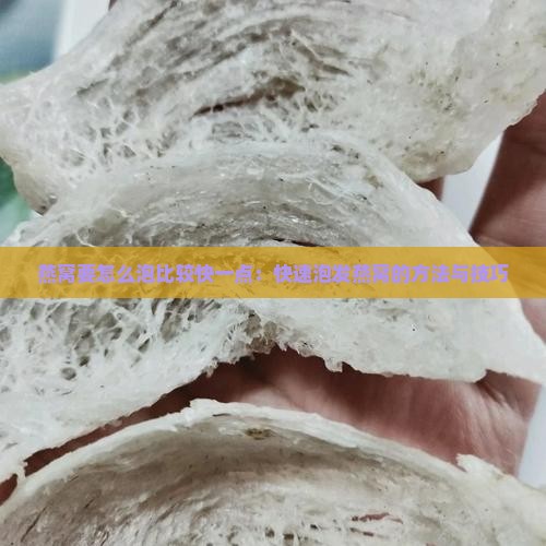 燕窝要怎么泡比较快一点