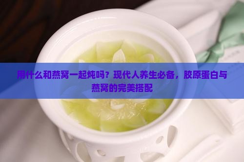 用什么和燕窝一起炖吗