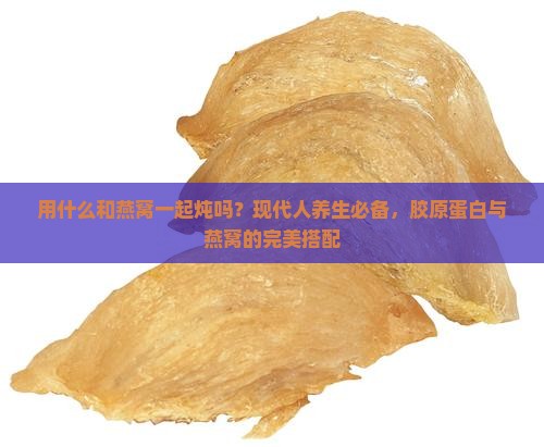 用什么和燕窝一起炖吗