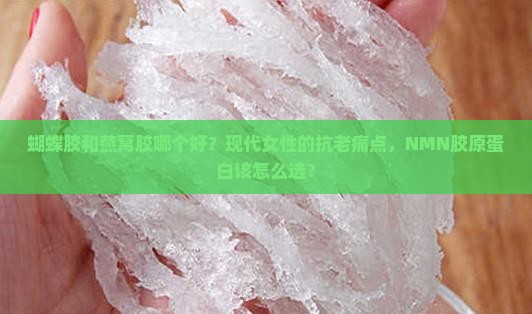 蝴蝶胶和燕窝胶哪个好