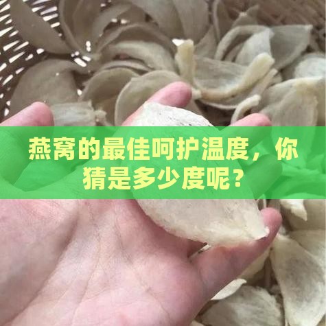 燕窝的适宜温度是多少度