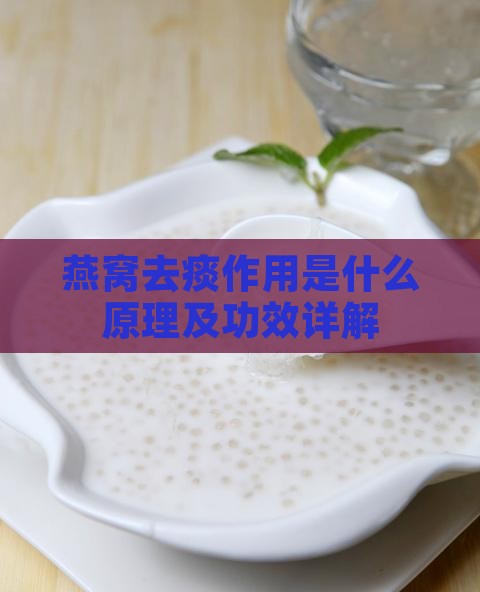 燕窝去痰作用是什么原理