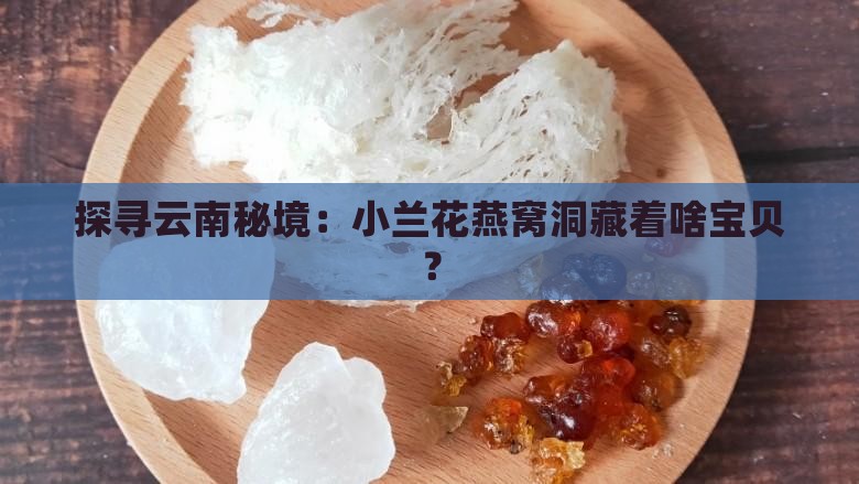 云南小兰花燕窝洞是哪里