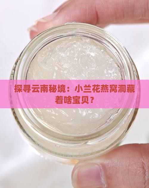 云南小兰花燕窝洞是哪里