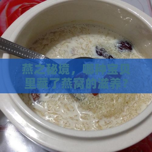 添加燕窝的产品叫什么来着