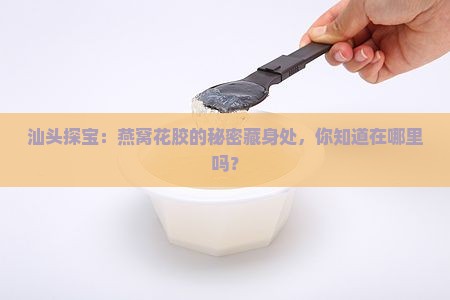 汕头哪里有燕窝花胶卖的