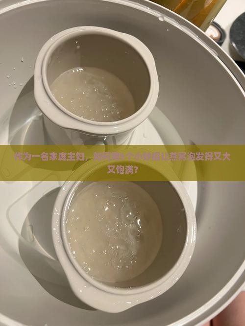 卖的燕窝怎么泡发好的