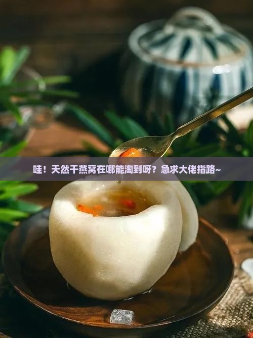 天然干燕窝哪里买的到呢