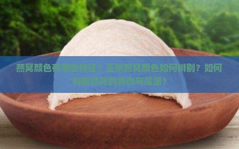 正宗燕窝颜色什么样子