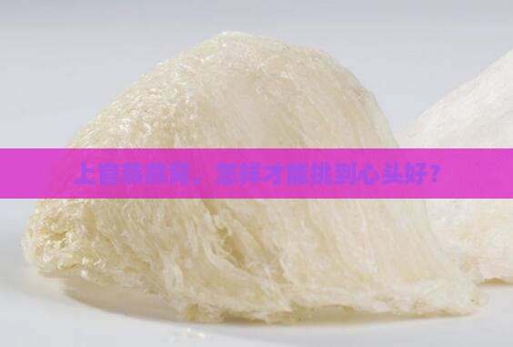 上官燕燕窝怎么找到合适