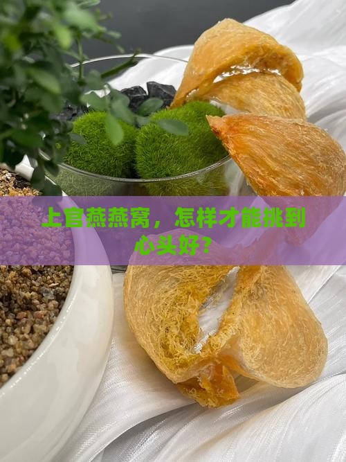 上官燕燕窝怎么找到合适