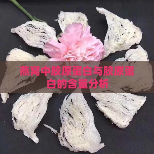 燕窝什么补胶原蛋白多