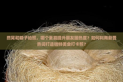 燕窝和粽子拍照哪个好用