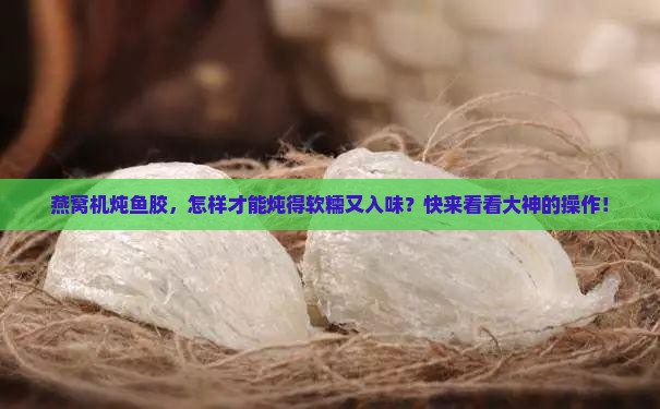 燕窝机炖鱼胶怎么炖的烂