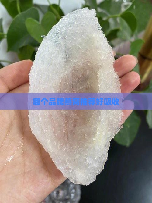 喝什么样的燕窝好吸收呢