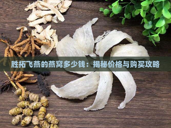 胜拓飞燕的燕窝多少钱