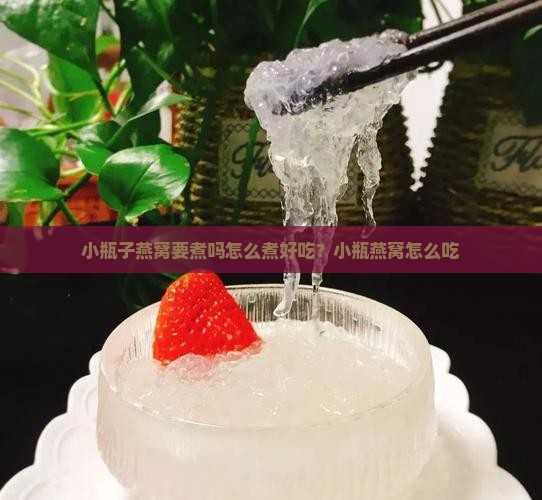 小瓶子燕窝要煮吗怎么煮