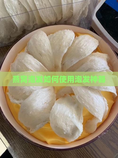 燕窝泡发神器怎么用的啊