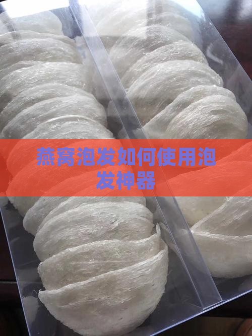 燕窝泡发神器怎么用的啊