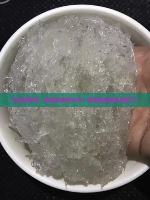 五克燕窝要放多少水煮蛋