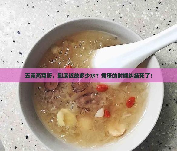 五克燕窝要放多少水煮蛋