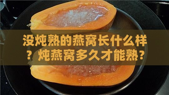 没炖熟的燕窝长什么样 没炖熟的燕窝长什么样