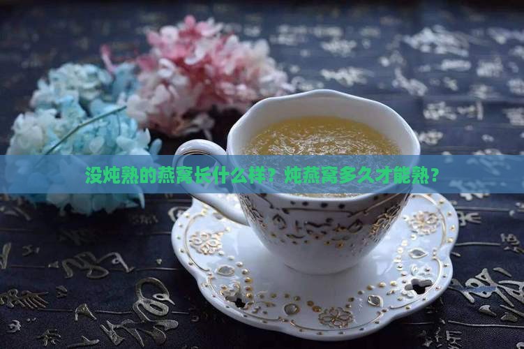 没炖熟的燕窝长什么样 没炖熟的燕窝长什么样