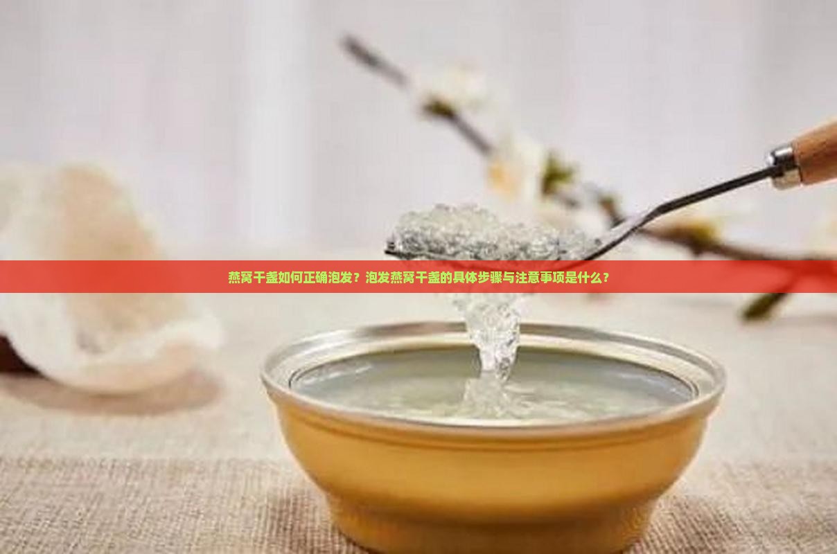 燕窝干盏怎么泡发做法