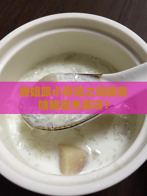 姗姐和小燕窝什么关系