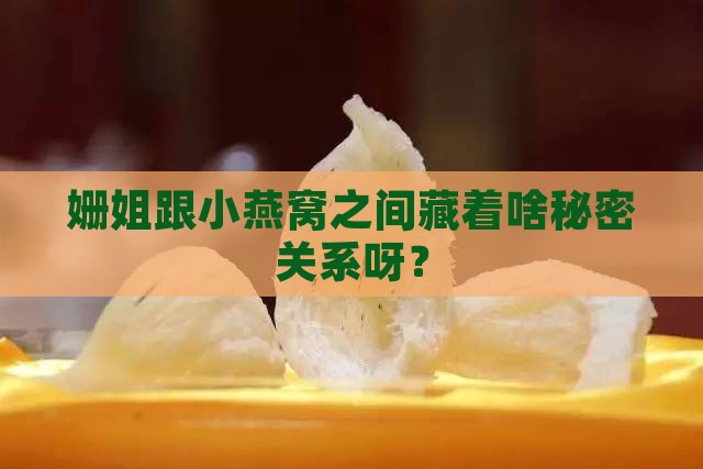 姗姐和小燕窝什么关系