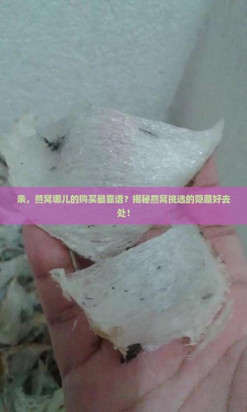 燕窝从什么渠道买的最好