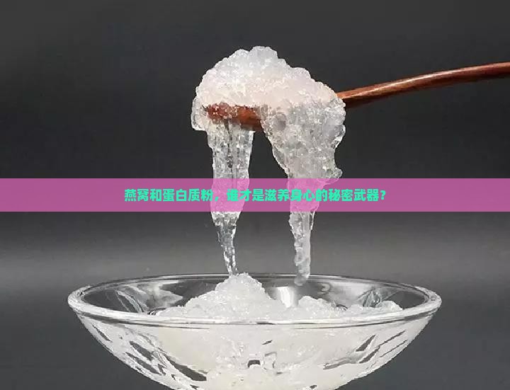 燕窝跟蛋白质粉哪个好
