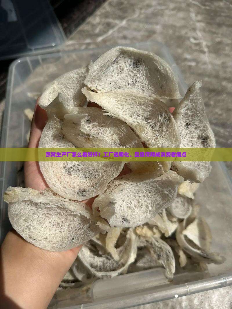 燕窝生产厂怎么看好坏啊